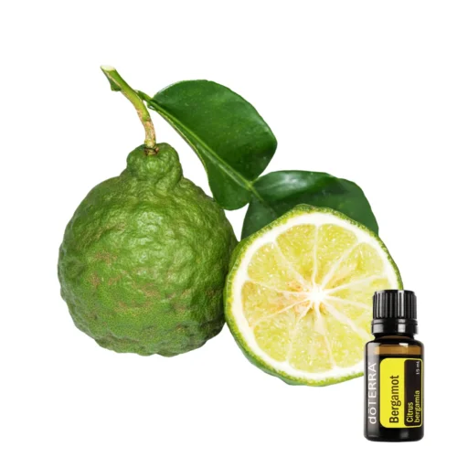Bergamot