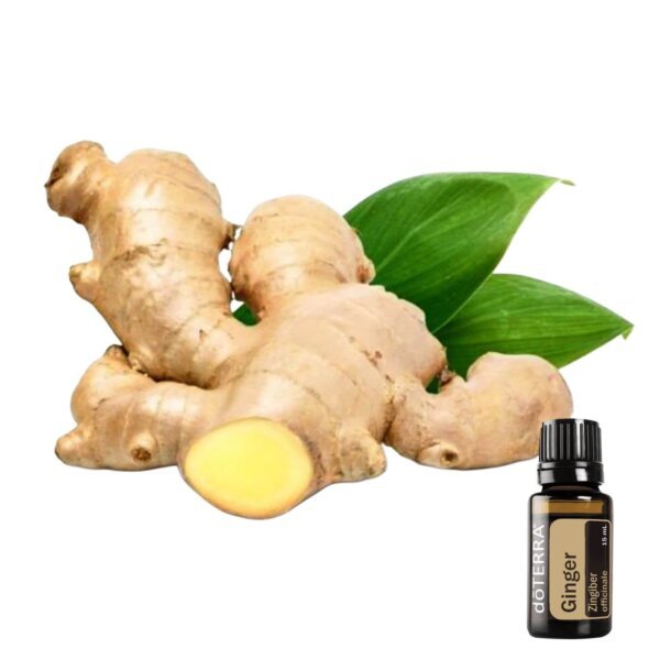 Ginger
