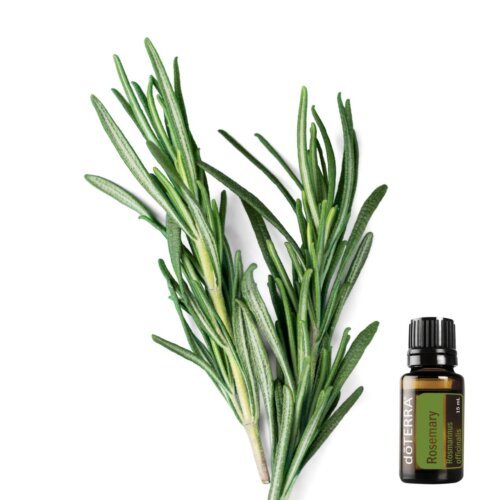 Rosemary