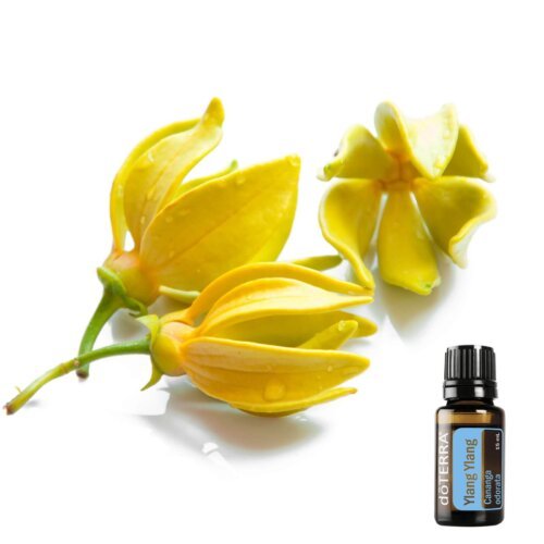 Ylang-Ylang
